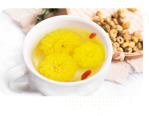 始建于2015年，實(shí)力雄厚