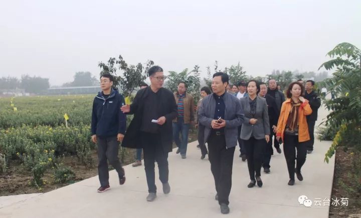 云臺(tái)冰菊基地發(fā)生了什么？一批批領(lǐng)導(dǎo)專家團(tuán)隊(duì)前來(lái)！